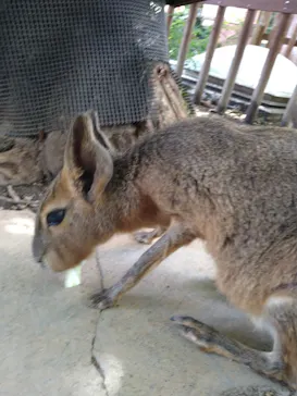 横浜・八景島シーパラダイスに投稿された画像（2023/6/8）