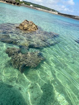 宮古島 ADVENTURE PiPi（ミヤコジマ アドベンチャー ピピ）に投稿された画像（2023/6/8）