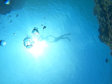 青の洞窟専門店　沖縄ダイビングショップ和に投稿された画像（2023/6/8）