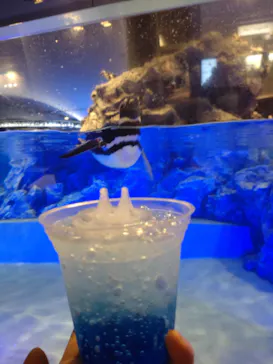 すみだ水族館に投稿された画像（2023/6/8）