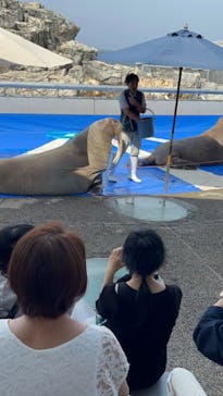 大分マリーンパレス水族館 「うみたまご」に投稿された画像（2023/6/8）