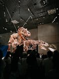特別展「恐竜博2023」に投稿された画像（2023/6/8）