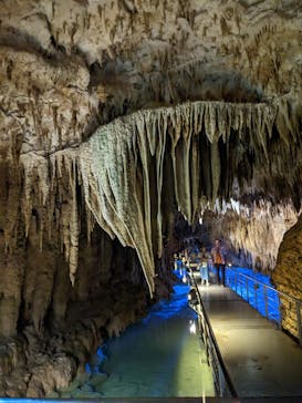 おきなわワールドに投稿された画像（2023/6/8）