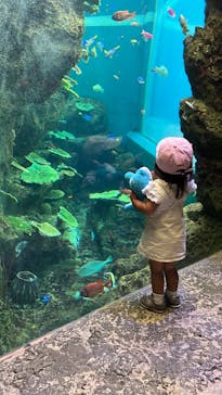 鴨川シーワールドに投稿された画像（2023/6/8）