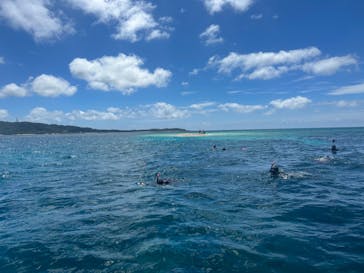 西表島 ADVENTURE PiPi（アドベンチャーピピ）に投稿された画像（2023/6/8）