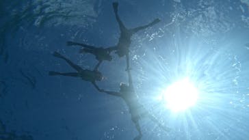 西表島 ADVENTURE PiPi（アドベンチャーピピ）に投稿された画像（2023/6/8）