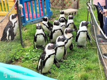 名古屋港水族館に投稿された画像（2023/6/8）