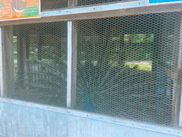 成田ゆめ牧場に投稿された画像（2023/6/9）