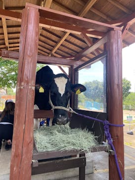 成田ゆめ牧場に投稿された画像（2023/6/9）