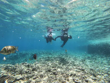 武藤潜水に投稿された画像（2023/6/9）