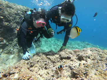 武藤潜水に投稿された画像（2023/6/9）