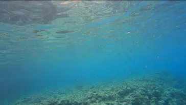 武藤潜水に投稿された画像（2023/6/9）