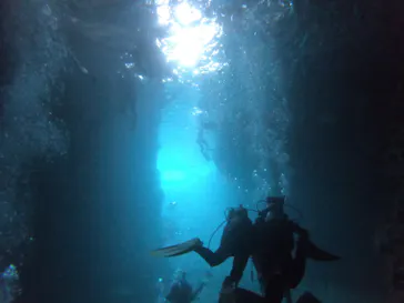 武藤潜水に投稿された画像（2023/6/9）