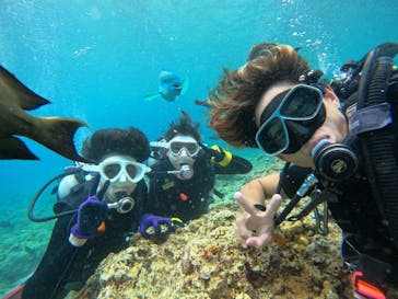 DIVING-SHOP SUNSに投稿された画像（2023/6/9）