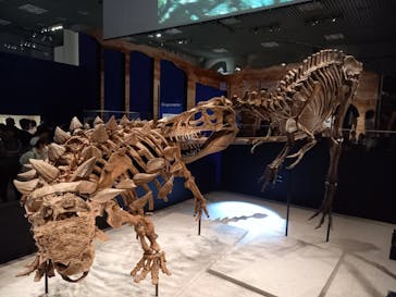 特別展「恐竜博2023」に投稿された画像（2023/6/9）