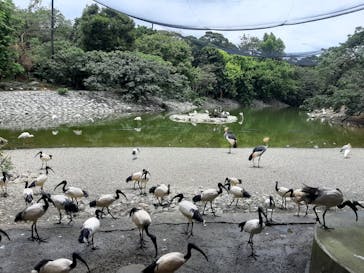 ネオパークオキナワに投稿された画像（2023/6/9）