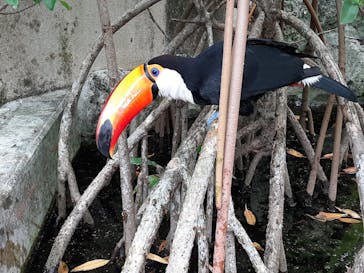 ネオパークオキナワに投稿された画像（2023/6/9）