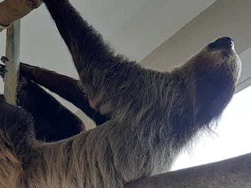 ネオパークオキナワに投稿された画像（2023/6/9）