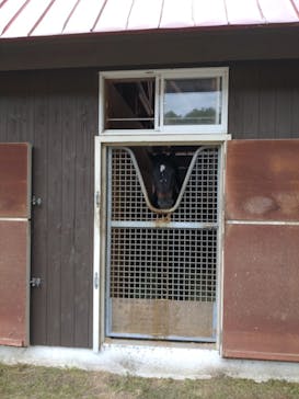 ノーザンホースパークに投稿された画像（2023/6/9）