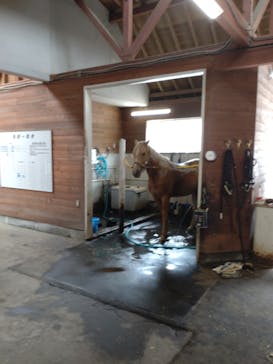 ノーザンホースパークに投稿された画像（2023/6/9）