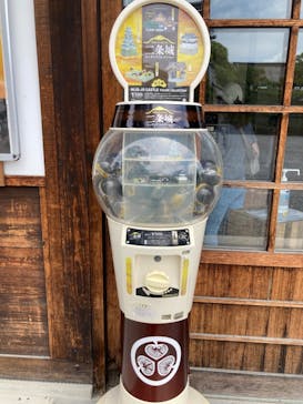 元離宮二条城に投稿された画像（2023/6/9）