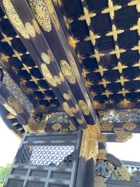 元離宮二条城に投稿された画像（2023/6/9）