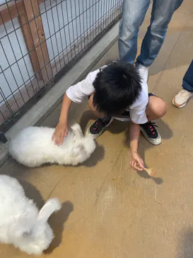 神戸どうぶつ王国に投稿された画像（2023/6/9）