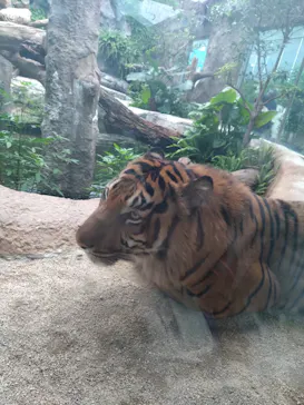 神戸どうぶつ王国に投稿された画像（2023/6/9）