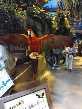 神戸どうぶつ王国に投稿された画像（2023/6/9）