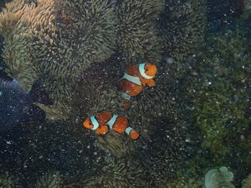 宮古島マリン GB QUESTに投稿された画像（2023/6/9）