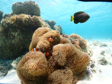 宮古島マリン GB QUESTに投稿された画像（2023/6/9）