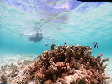 宮古島マリン GB QUESTに投稿された画像（2023/6/9）