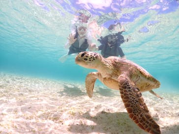 宮古島マリン GB QUESTに投稿された画像（2023/6/9）