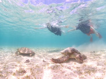 宮古島マリン GB QUESTに投稿された画像（2023/6/9）