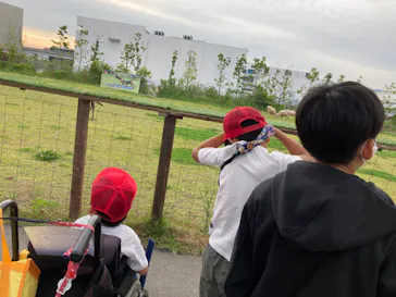 神戸どうぶつ王国に投稿された画像（2023/6/9）