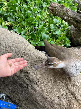 神戸どうぶつ王国に投稿された画像（2023/6/9）