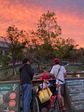 神戸どうぶつ王国に投稿された画像（2023/6/9）