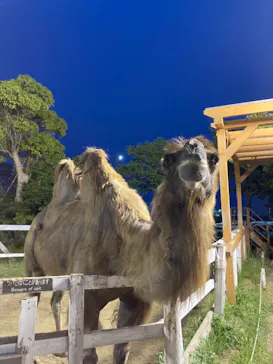 神戸どうぶつ王国に投稿された画像（2023/6/9）