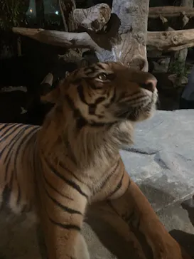 神戸どうぶつ王国に投稿された画像（2023/6/9）