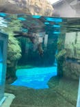 京都水族館×ニデック京都タワーに投稿された画像（2023/6/10）
