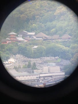 京都水族館×ニデック京都タワーに投稿された画像（2023/6/10）