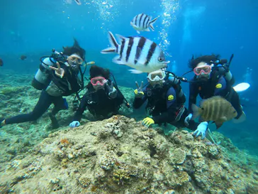 武藤潜水に投稿された画像（2023/6/10）