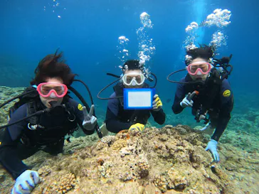 武藤潜水に投稿された画像（2023/6/10）