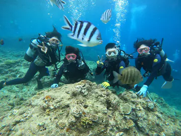 武藤潜水に投稿された画像（2023/6/10）