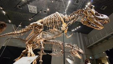 特別展「恐竜博2023」に投稿された画像（2023/6/10）