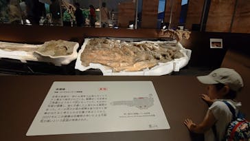 特別展「恐竜博2023」に投稿された画像（2023/6/10）