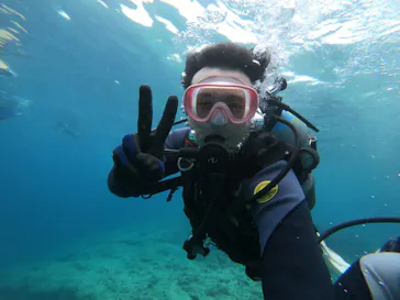 武藤潜水に投稿された画像（2023/6/10）