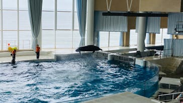 アクアワールド茨城県大洗水族館に投稿された画像（2023/6/10）