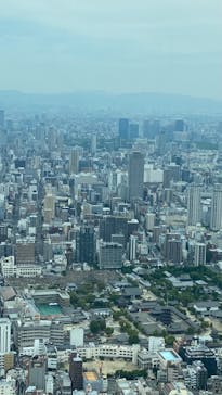 ハルカス300(展望台)に投稿された画像（2023/6/10）