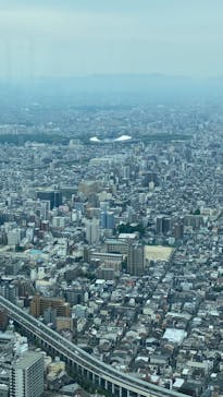 ハルカス300(展望台)に投稿された画像（2023/6/10）